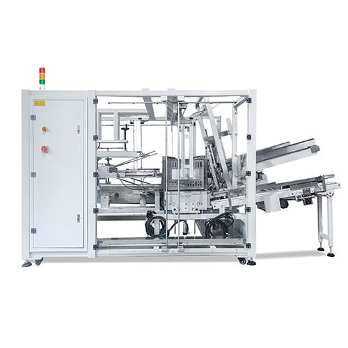 Pick and Place Case Packer